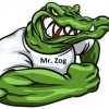 Mr. Zog